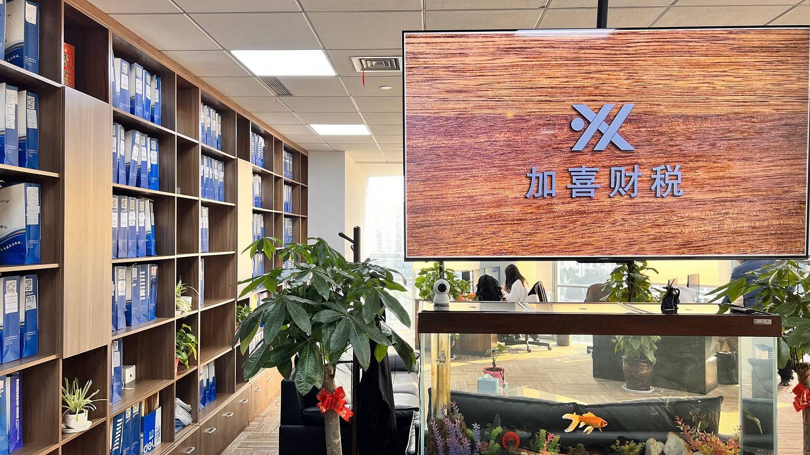 Sondervergünstigungspolitik der Shanghai Freihandelszone für ausländische Unternehmen