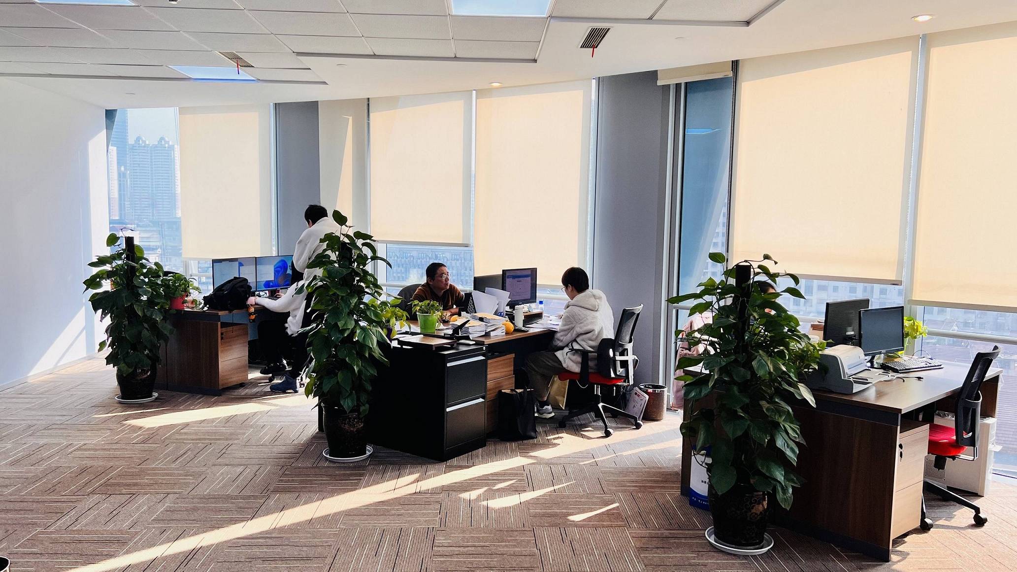 بيئة عمل جياكشي المالية والضريبية